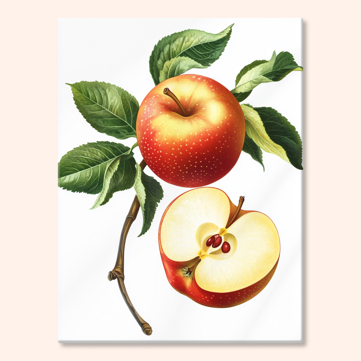 Apple Harvest