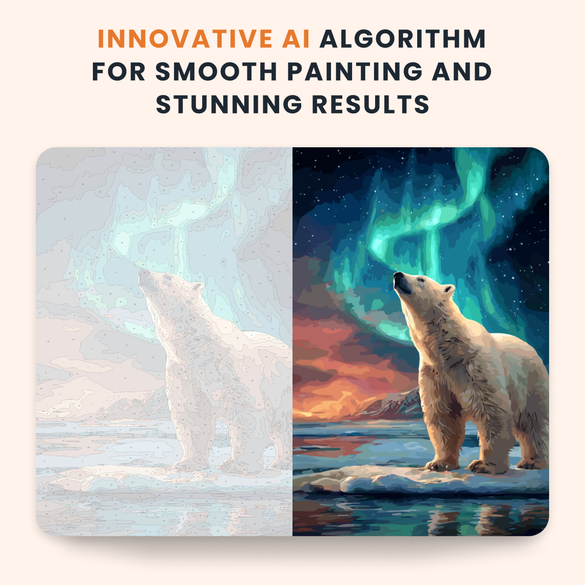 Aurora Bear