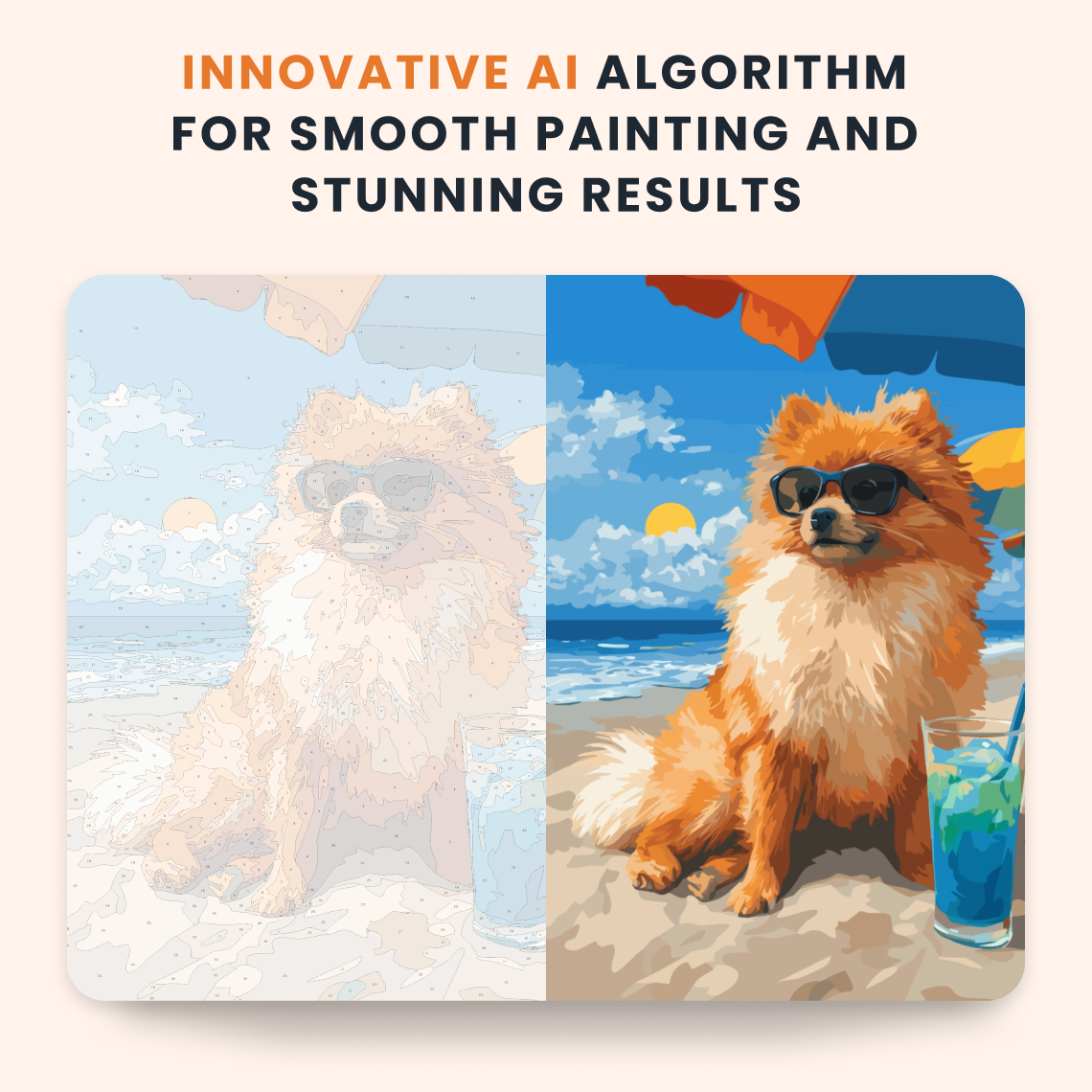 Beach Pomeranian