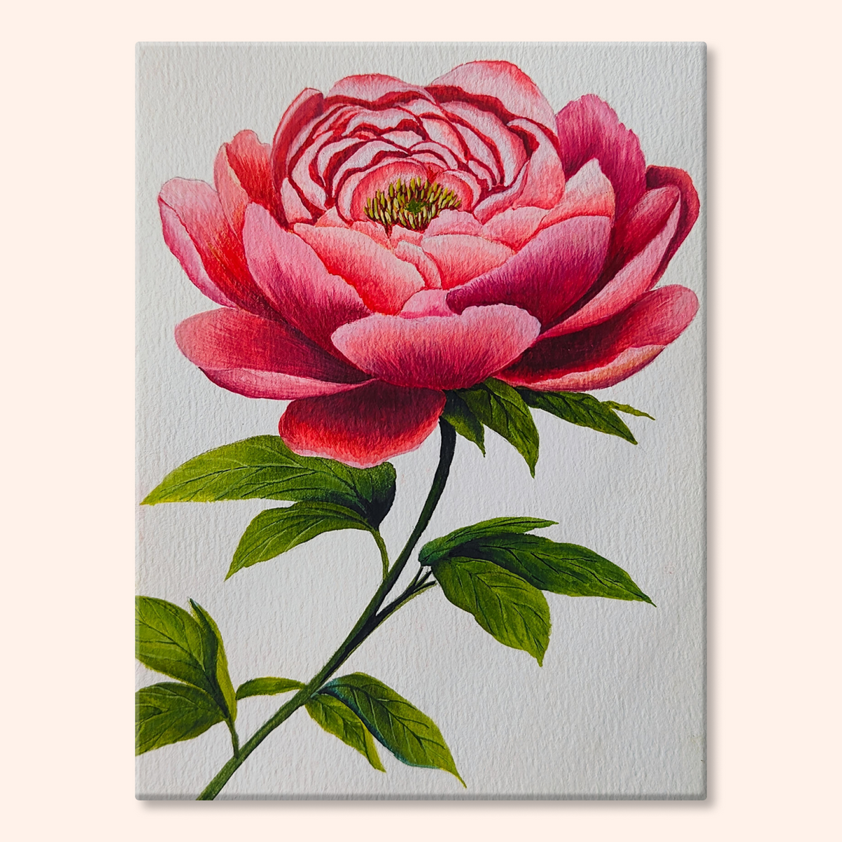 Bloom Again