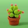 Blooming Prickly Pear