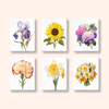 Paint by numbers - Botanical Classics - MyArt