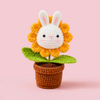 Bunny Sunflower