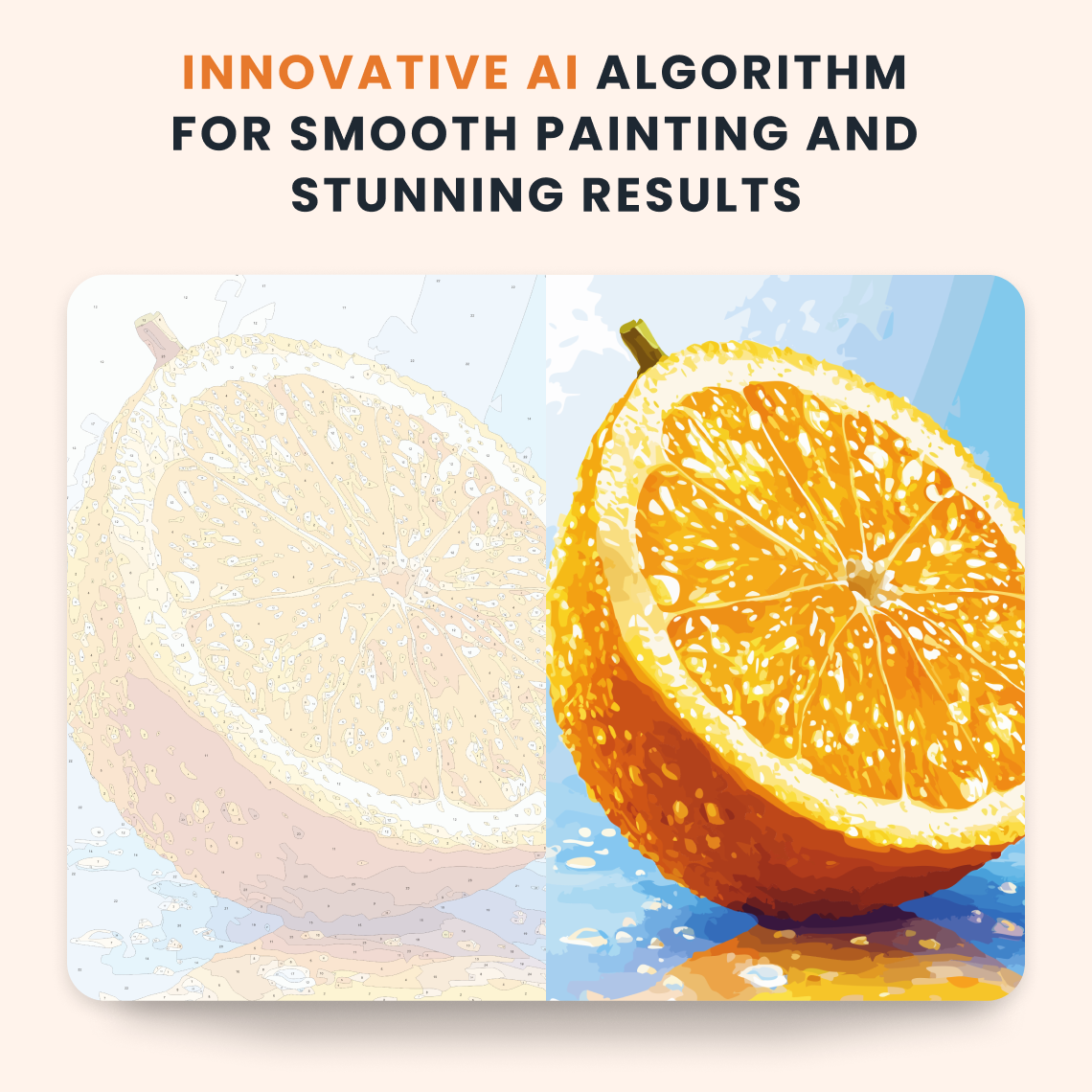 Citrus Splash