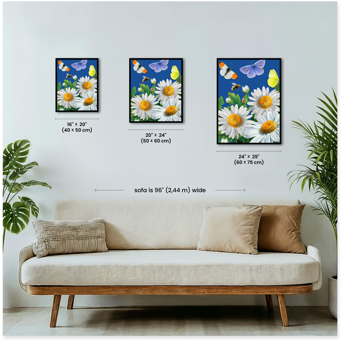 Daisies and Butterflies