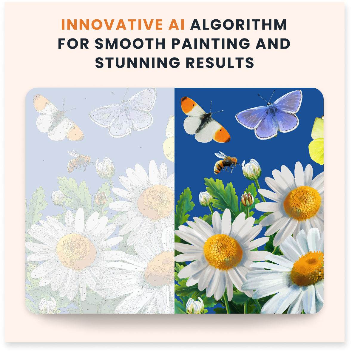 Daisies and Butterflies