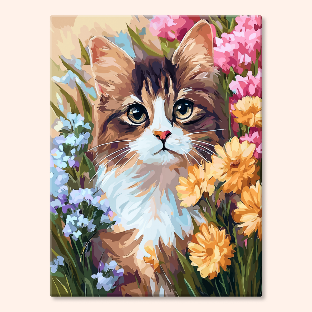 Daisy Kitten