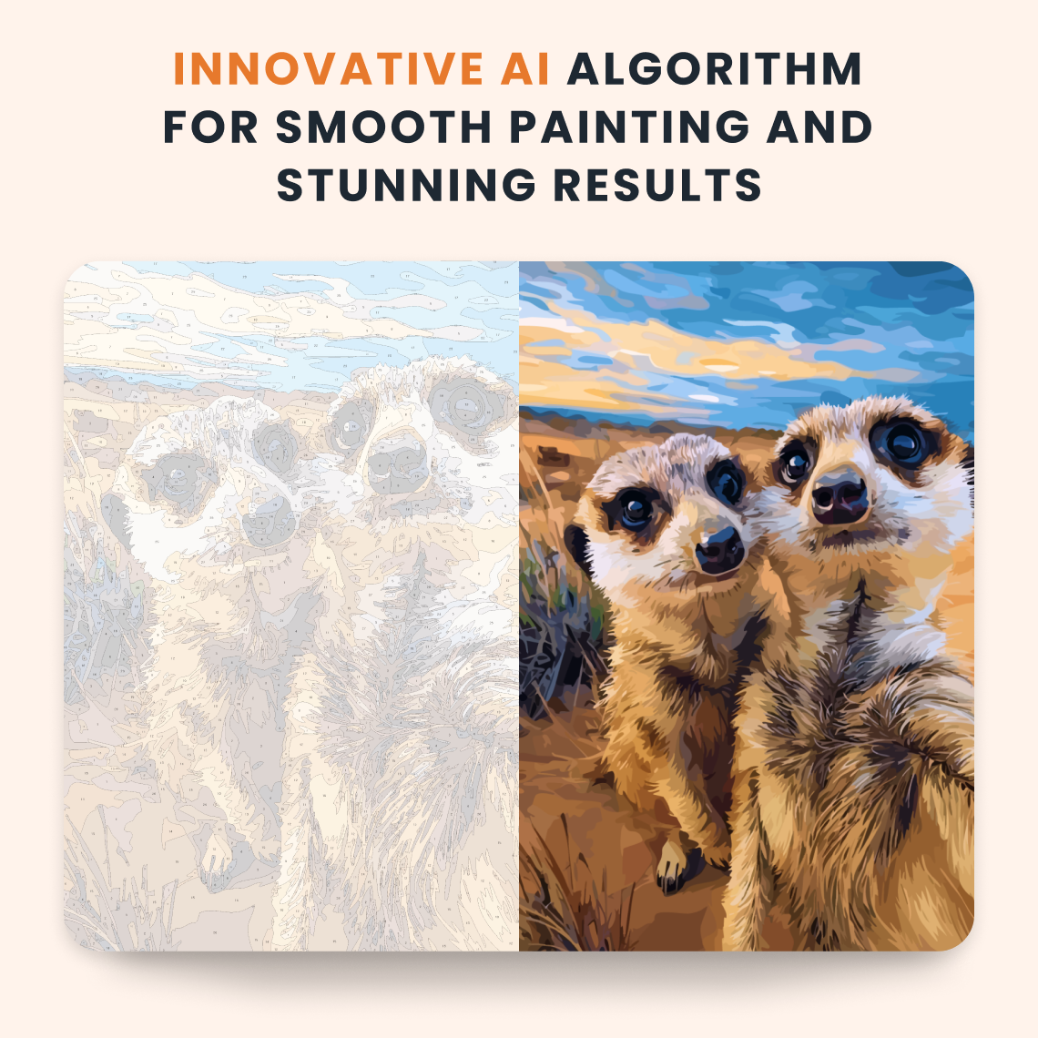 Desert Meerkats