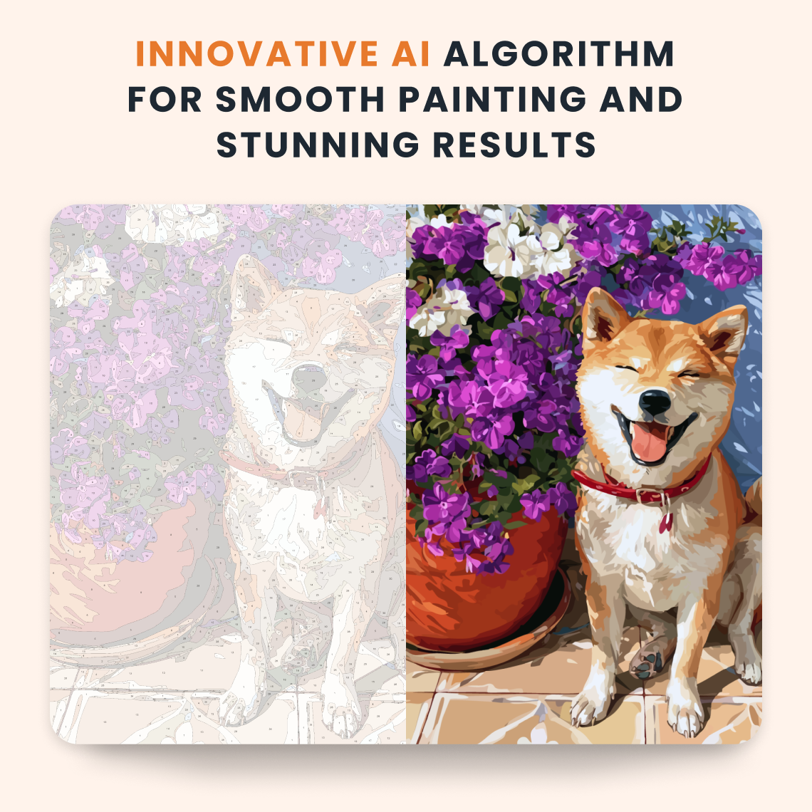 Flower Shiba