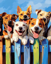 Dogs