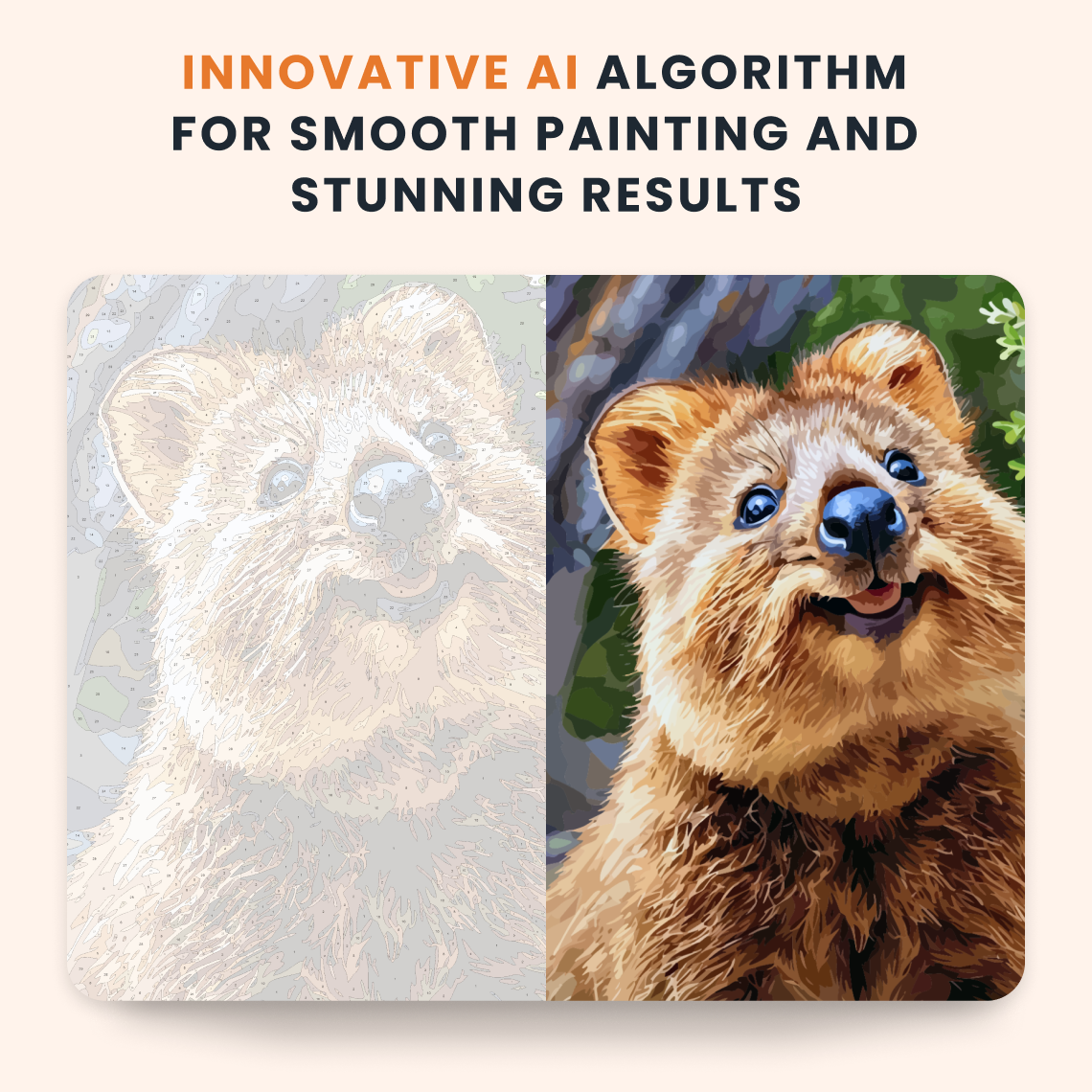 Happy Quokka