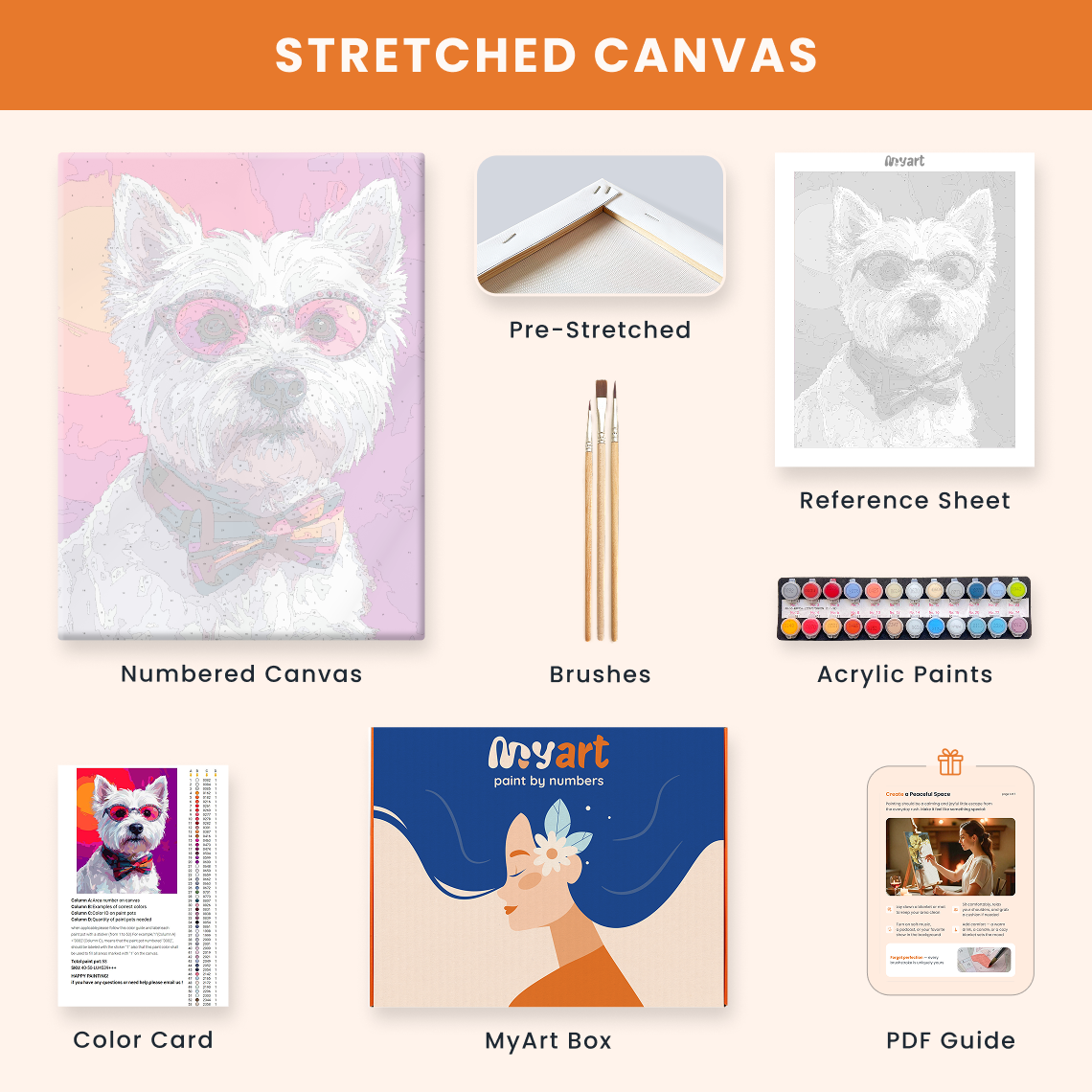 Hip Terrier