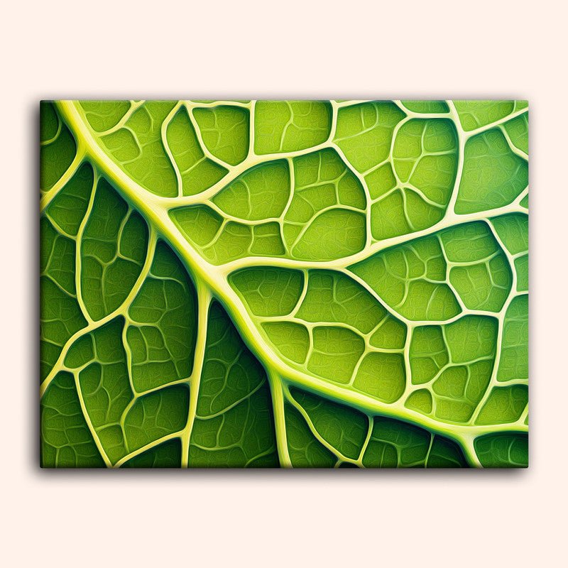 Paint by numbers - Leafy Patterns - MyArt
