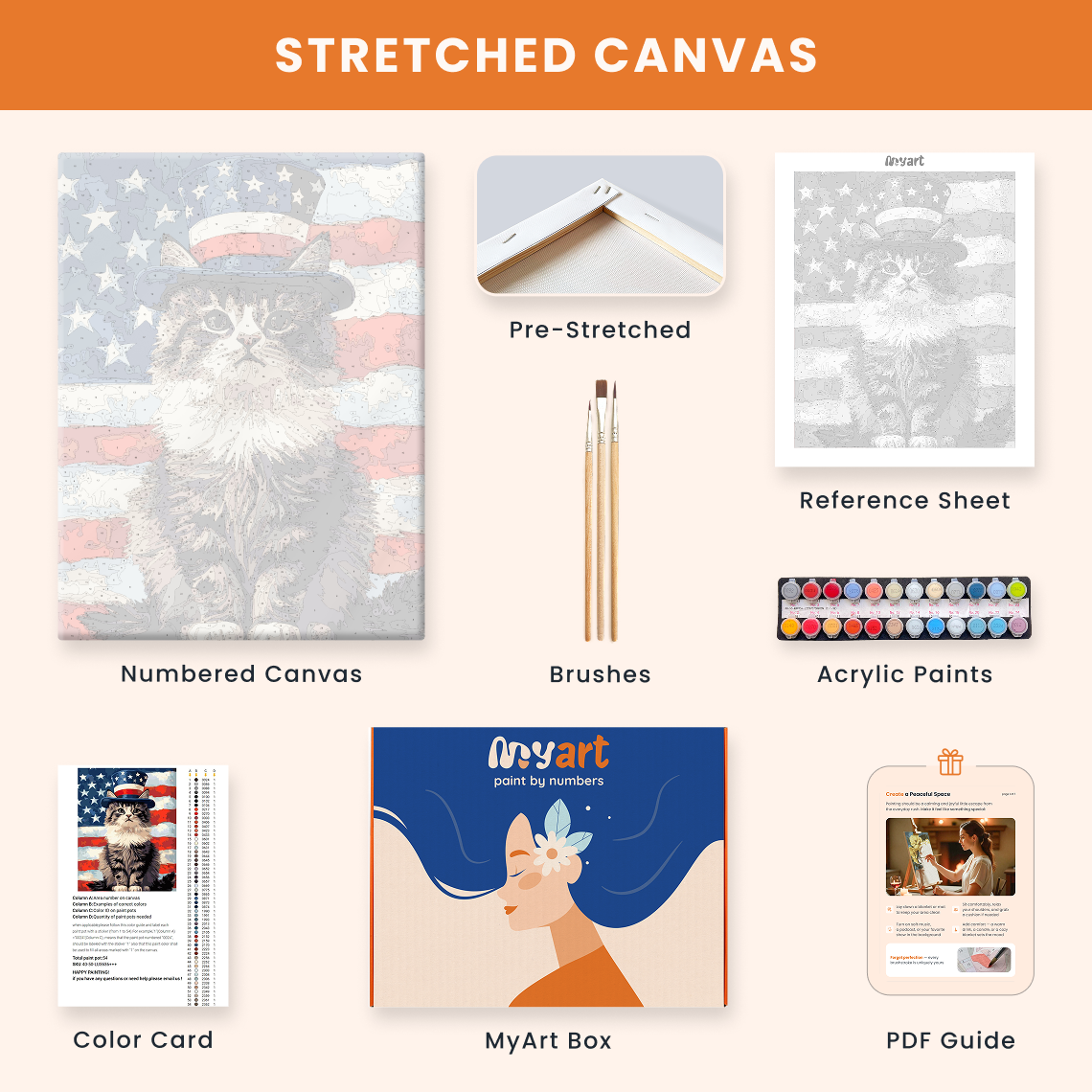 Patriotic Cat