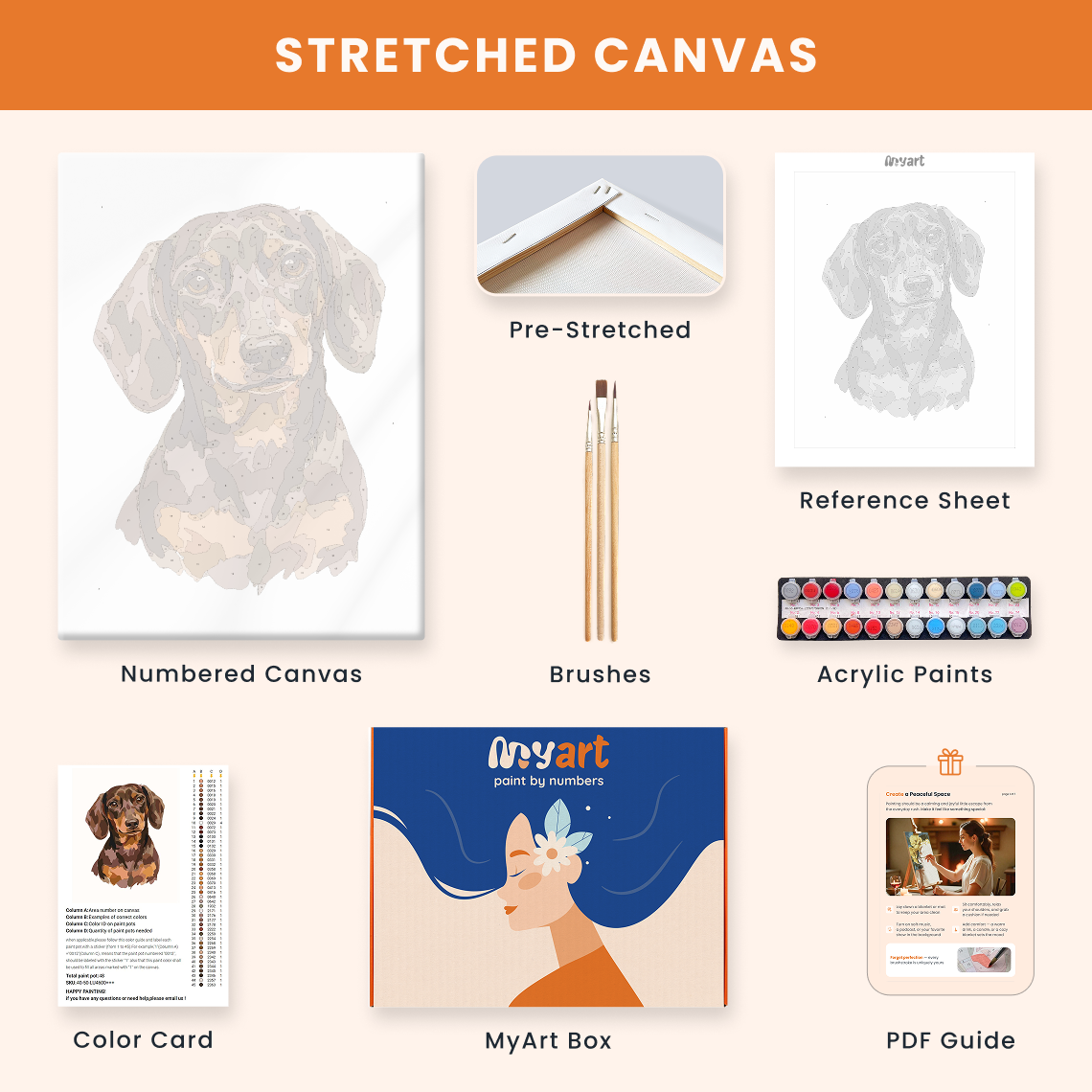Portrait Dachshund