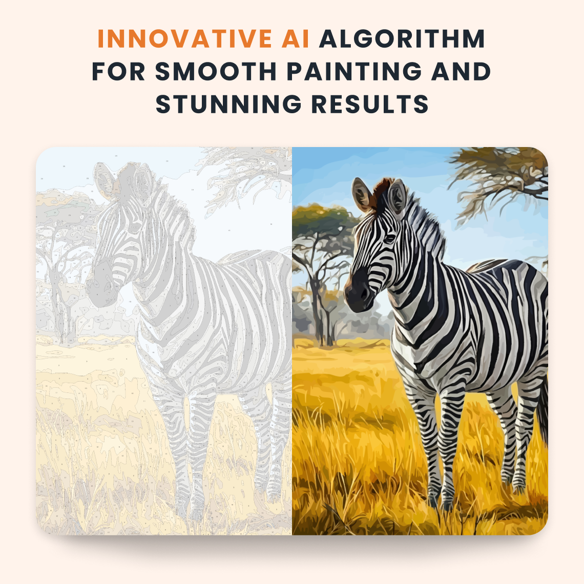 Savanna Zebra