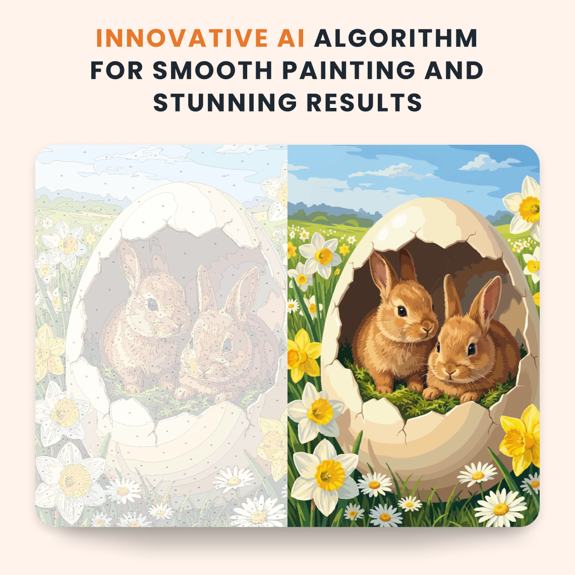 Shell Rabbits