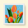Tulip Tulips