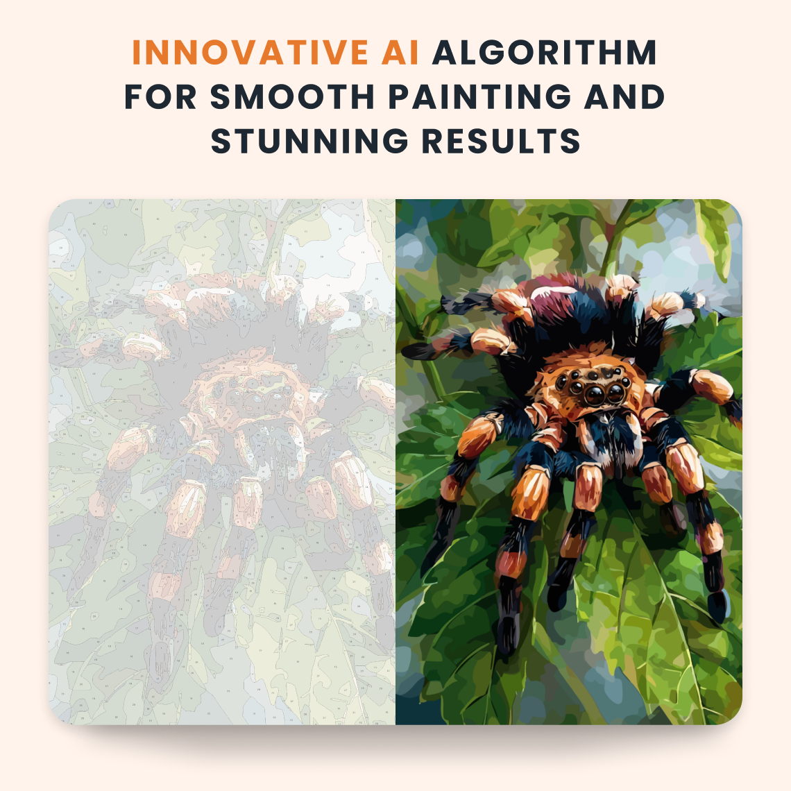 Velvet Tarantula