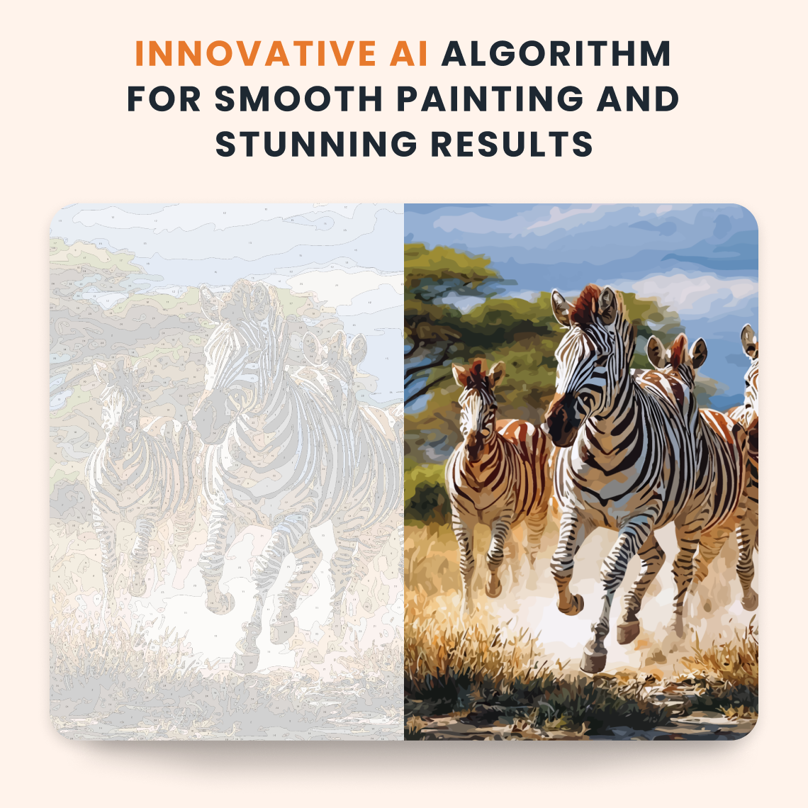 Wild Zebras