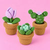 Little Greenhouse Trio: a potted tulip, cactus and succulent