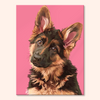Alert Shepherd