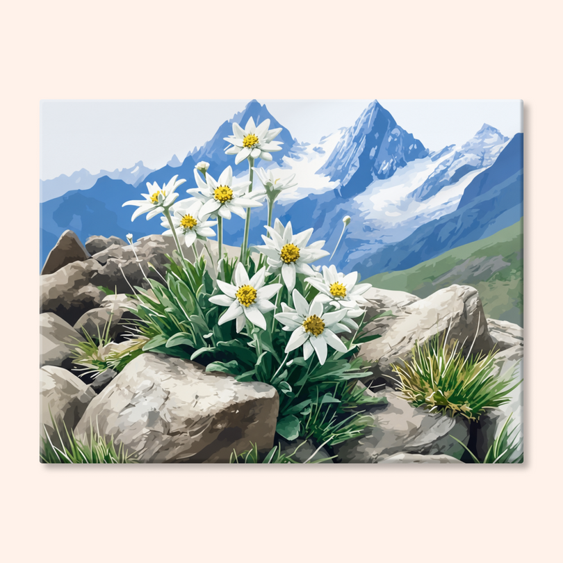 Paint by numbers - MyArt