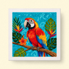 Amber Macaw