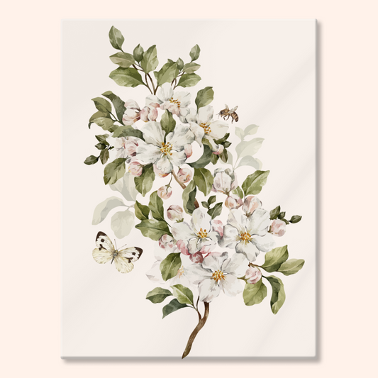 Apple Blossom