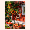 Apple Cottage