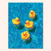 Aqua Ducklings