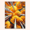 Aspen Glow