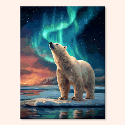 Aurora Bear