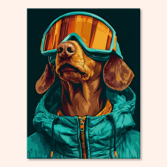 Aviator Dog