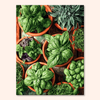 Basil Pots