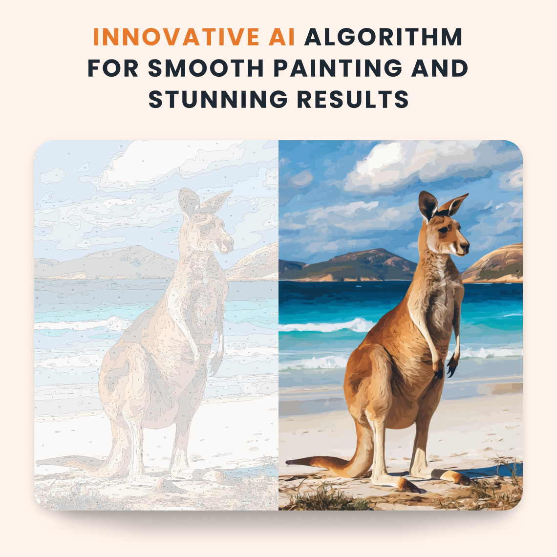 Beach Kangaroo