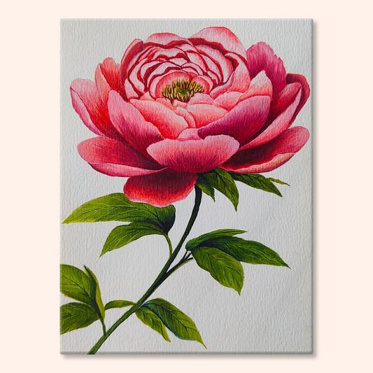 Bloom Again