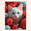 Blue Eyed Cat