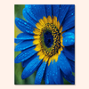 Blue Radiance