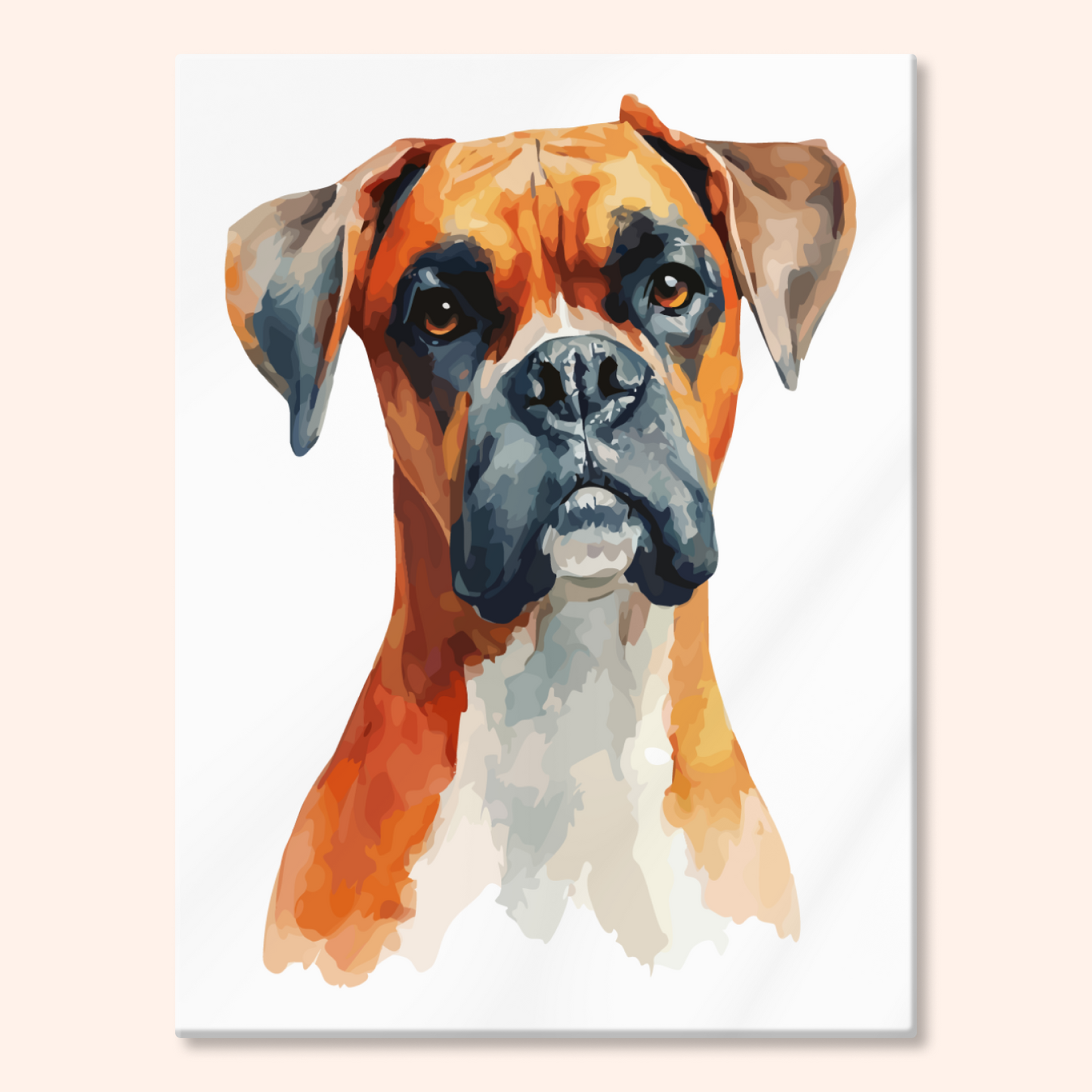 Boxer Portrait