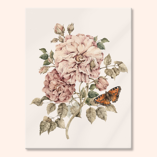 Butterfly on a Rose
