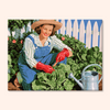 Cabbage Gardener
