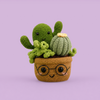 Cactus Pot with Glasses