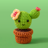 Cactus With Flower