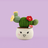 Cactus in white Flowerpot