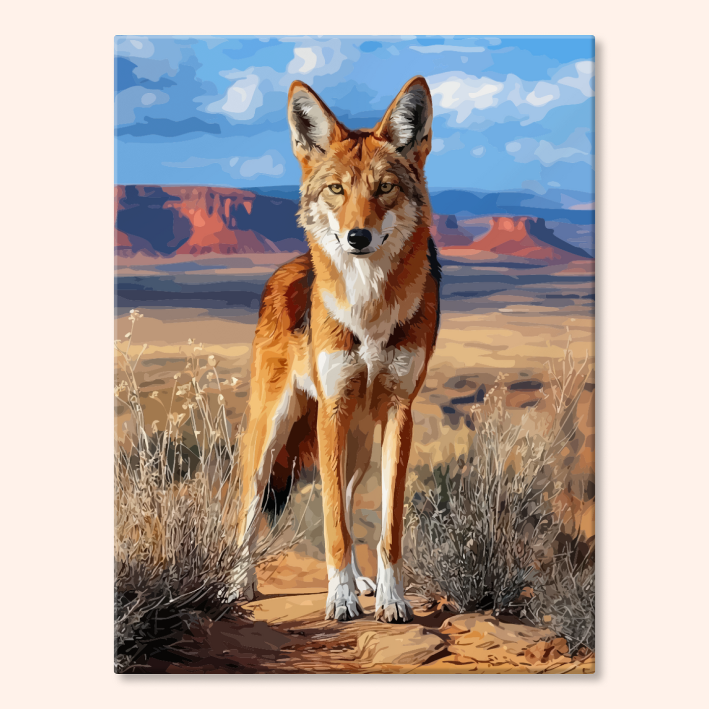 Canyon Coyote
