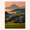 Cedar Journey