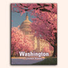 Washington Blossoms