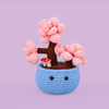 Cherry Blossom Tree