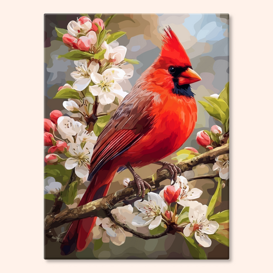 Cherry Cardinal